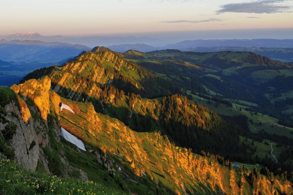 Alpin & Wellness Resort Hotel Ludwig Royal Oberstaufen Exterior foto